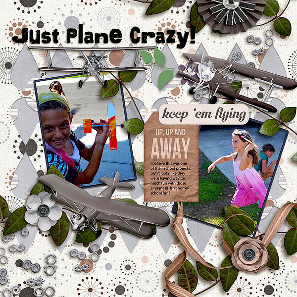 Just Plane Crazy