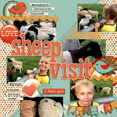 Sheep Visit