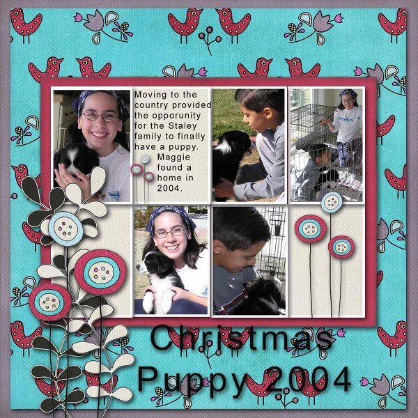 Christmas Puppy 2004