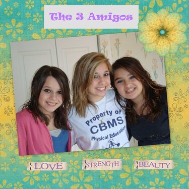 The 3 amigos