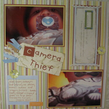camera thief