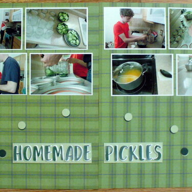 homemade pickles dbl