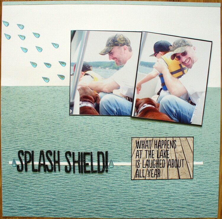 DS2 splash shield
