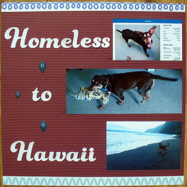 Homeless to Hawaii