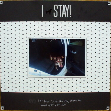 I stay!