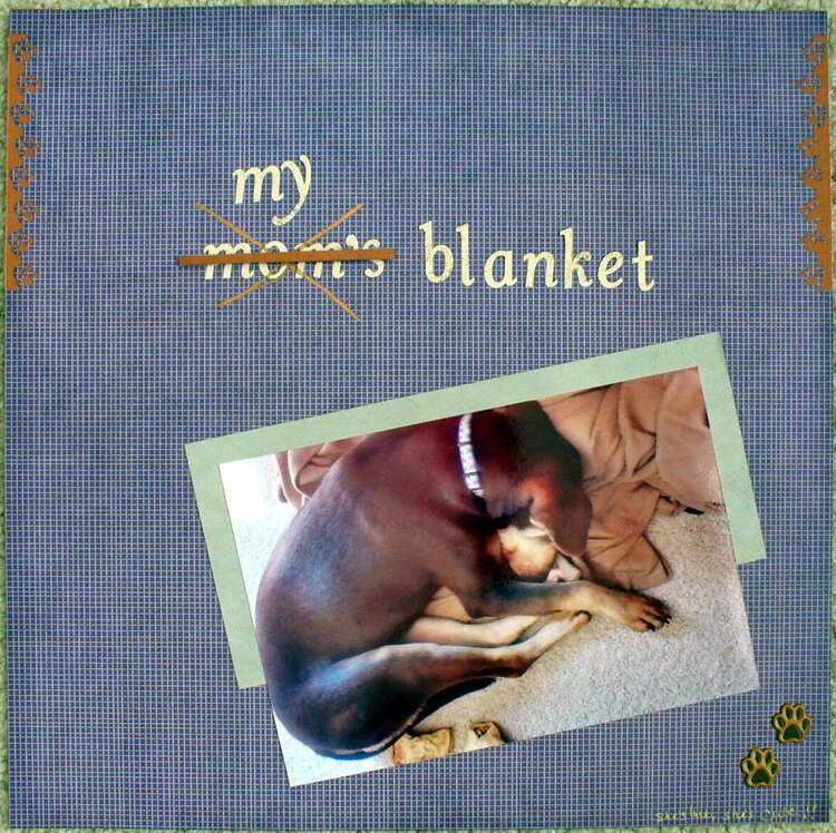 my blanket