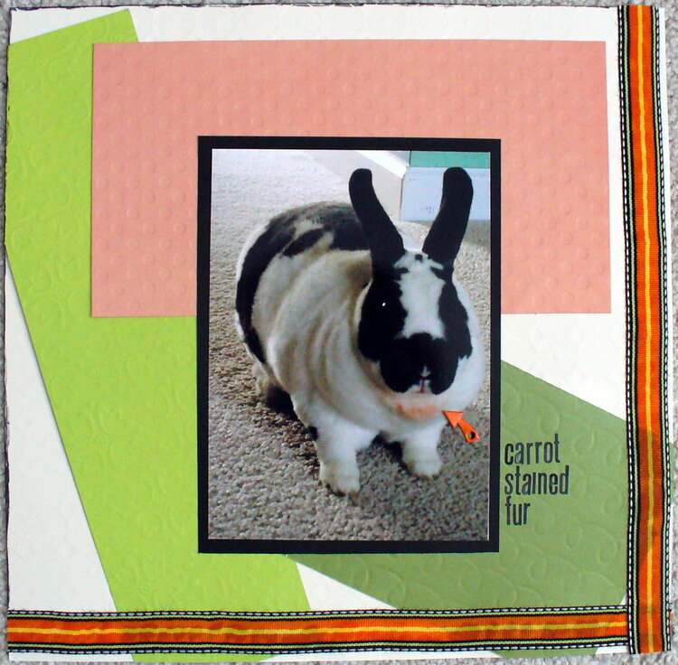 Carrot Stained Fur