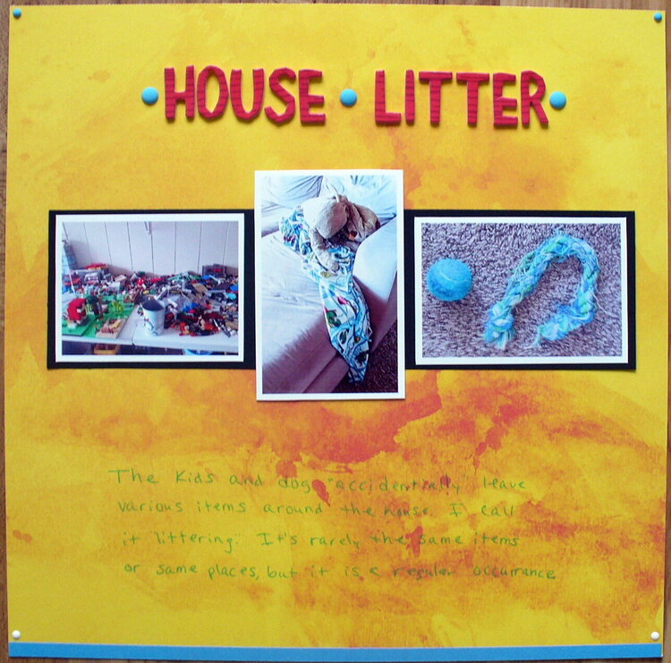 house litter