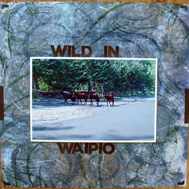 wild in Waipio