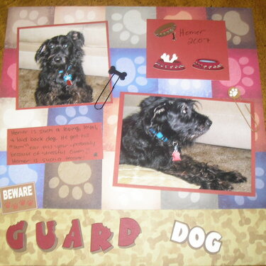 Guard Dog!