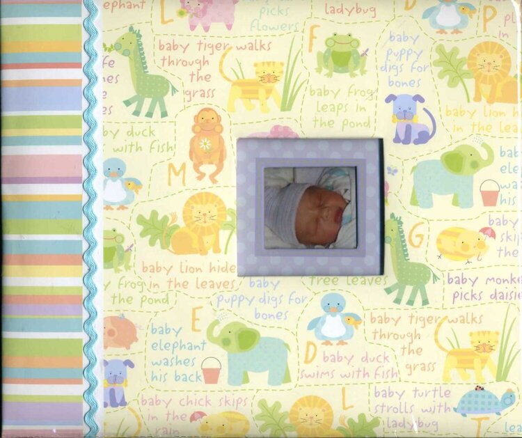 cover of baby scrapbook