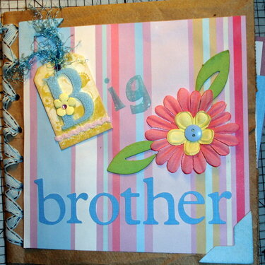 (Title Page) Big brother