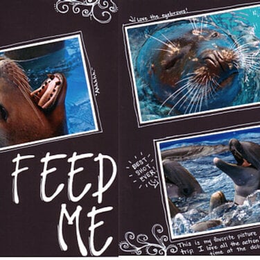 Feed Me - Sea World San Antonio
