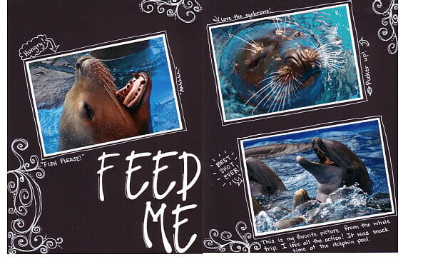 Feed Me - Sea World San Antonio