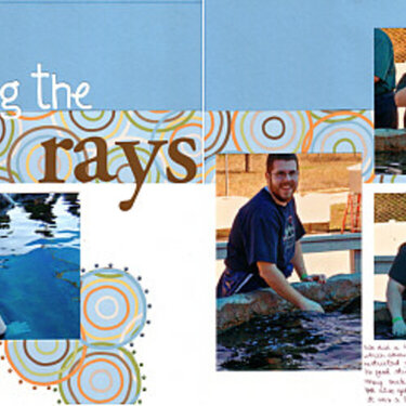 Feeding the Rays - Sea World San Antonio
