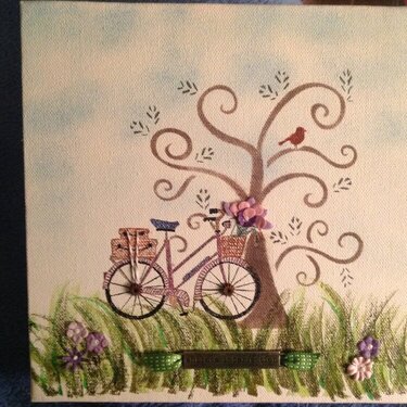 Bicycle canvas