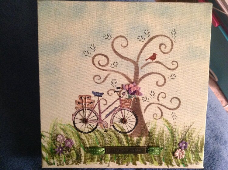 Bicycle canvas