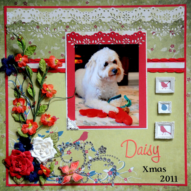 Daisy Xmas 2011