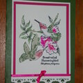 Happy Birthday Hummingbird Card