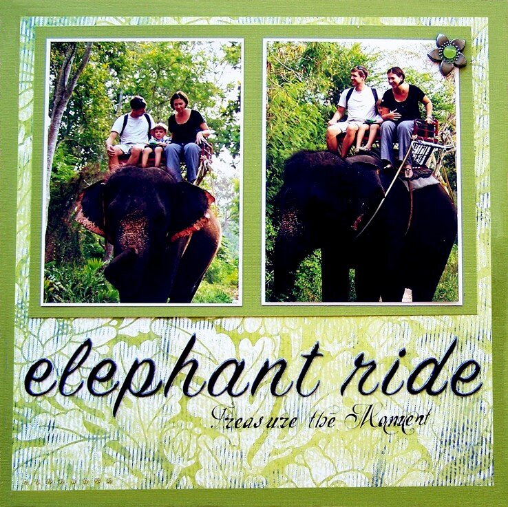 Elephant ride