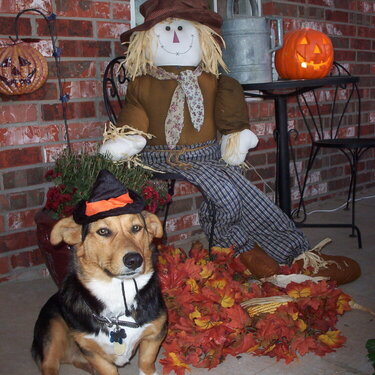 Rowdy ready for the Trick or Treaters
