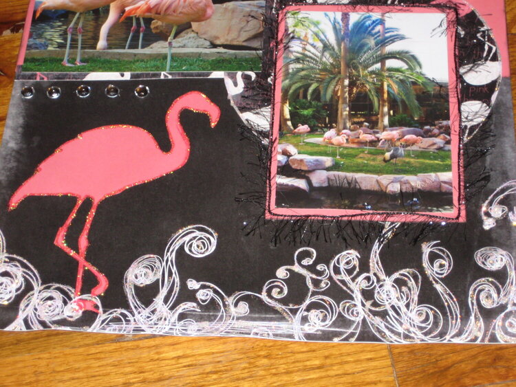 up close of flamingo lo