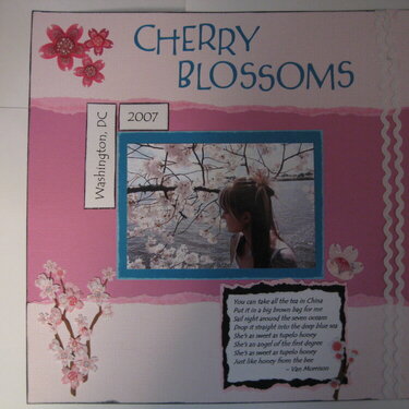 Cherry Blossoms