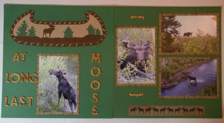 At Long Last Moose