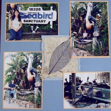 Suncoast Seabird Sanctuary