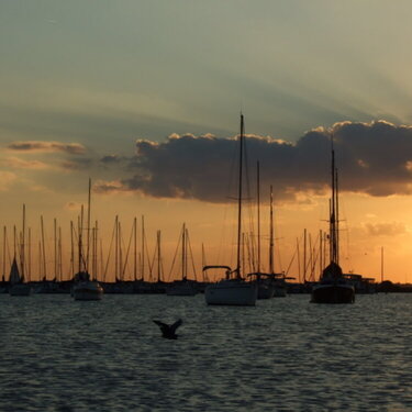 Oct. 15 - sunet with sailbaoats and water birds