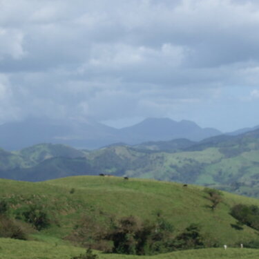 Jan 27- mountain view