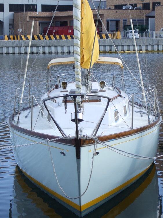 Dec 12 Sailboat along Bayshore