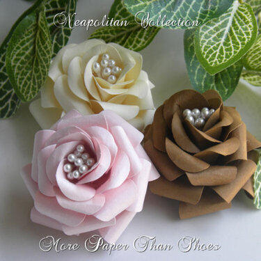 Neapolitan Collection  - Roses