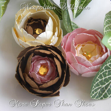 Neapolitan Collection  - In Bloom