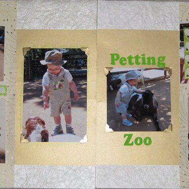 Petting Zoo