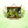 Color Challenge - Spring Green
