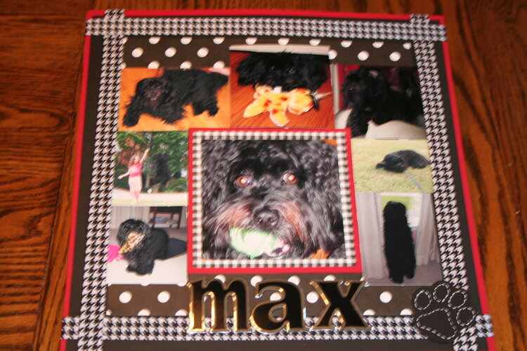 My Dog Max