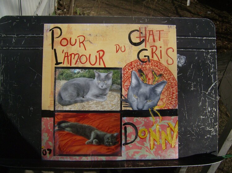 Pour L&#039;amour du Chat Gris (For Love of the Gray Cat)