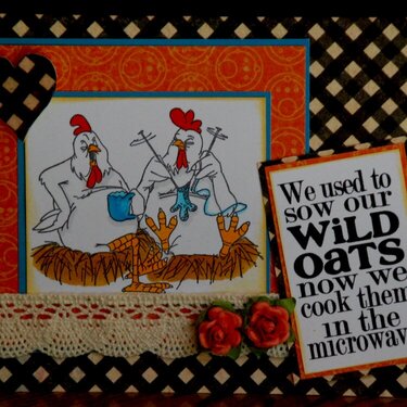 We used to sow our wild oats now we cook them in the microwave