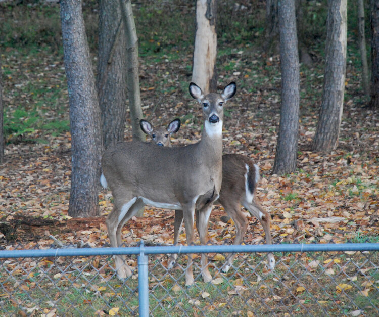 right outside our door