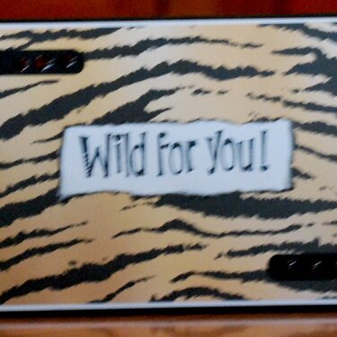 Wild for you