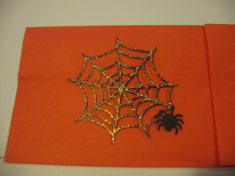 Spider Web Diecut