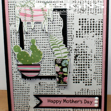 Cactus Mother&#039;s Day