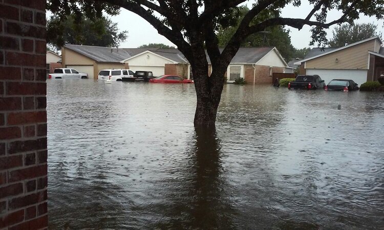 Front Yard TX