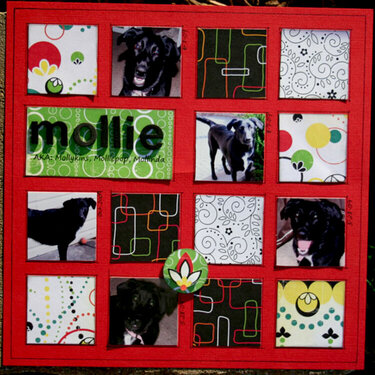 Mollie  AKA: Mollykins, Molliepop, Mollinda
