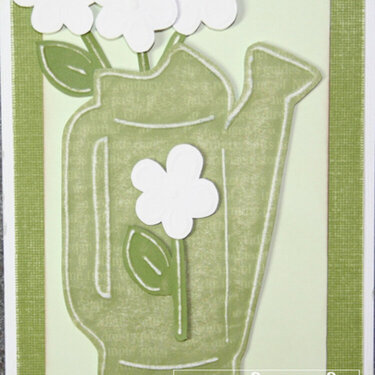 Green &amp; white watering can (Day 17 @ 365 Cards)
