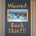 Wanted Sock Thief!!
