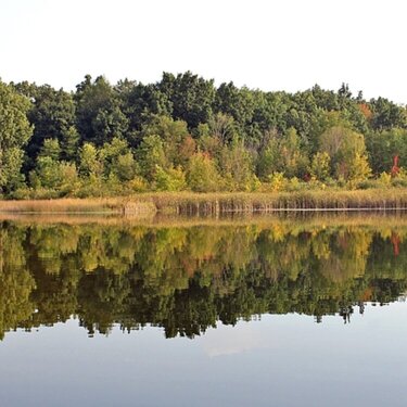 Lake mirror