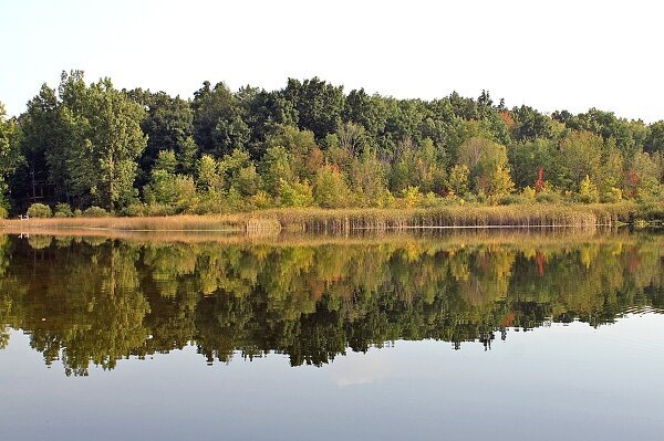 Lake mirror