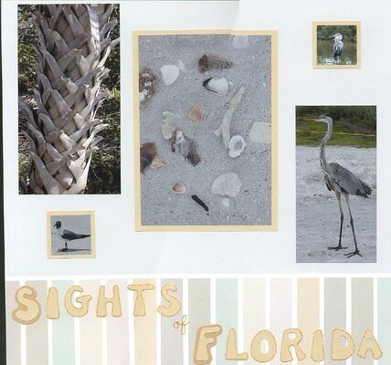 Sights of Florida